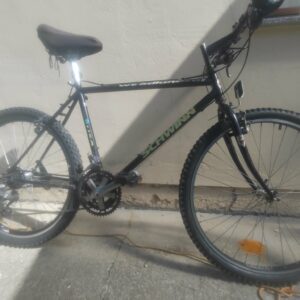 Schwinn Woodland